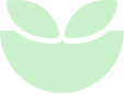 Sandra's Matcha Icon
